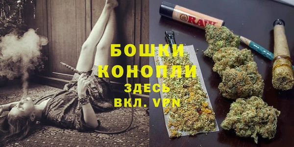 гидра Беломорск