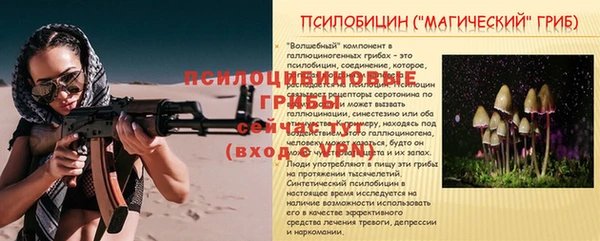 гидра Беломорск