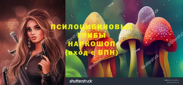 экстази Белокуриха