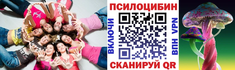 Псилоцибиновые грибы Cubensis купить сайты Бугульма